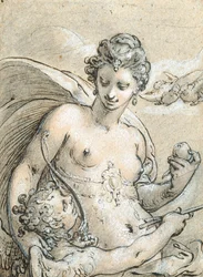 Vénus